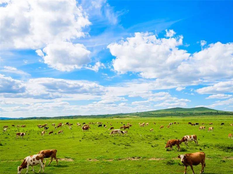 内蒙古,青春记忆的画卷